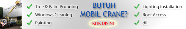 mobil crane video